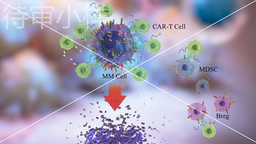『CAR-T嵌合抗原受体T细胞免疫疗法』三维医疗演示动画制作